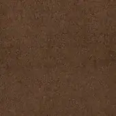 Bharal - Chocolat